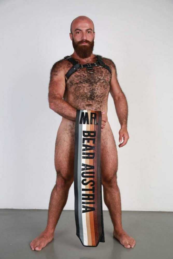 Mr. Bear Austria (Gabriel Yalda)