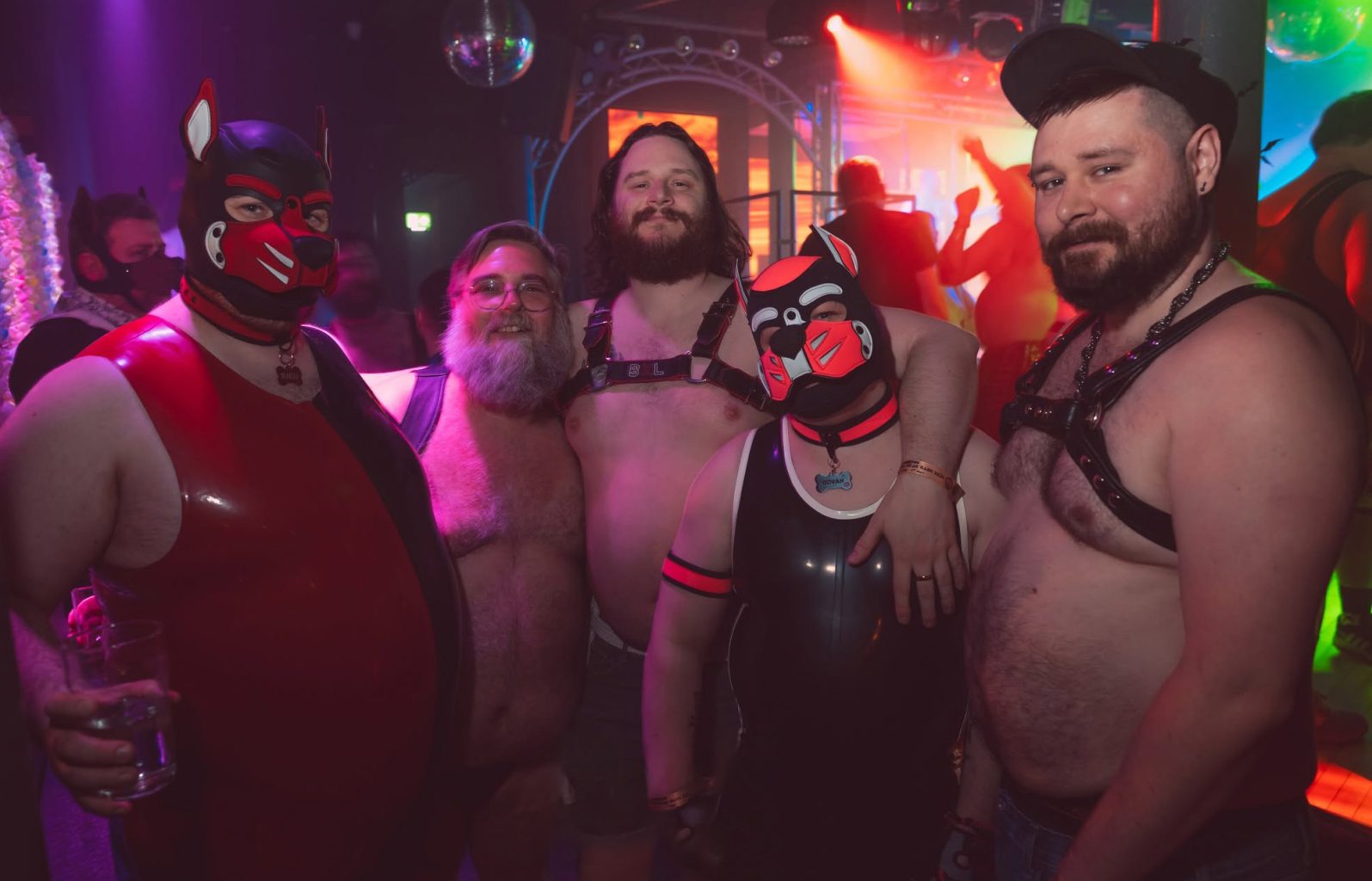 The Great British Bear Bash (GBBB)
