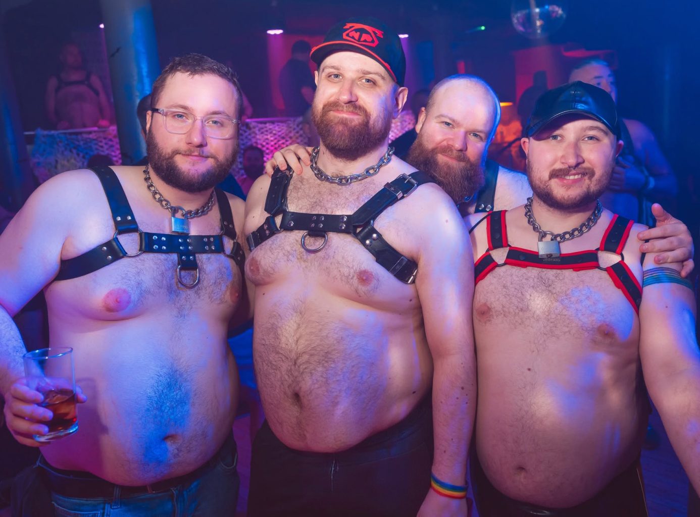 The Great British Bear Bash (GBBB)